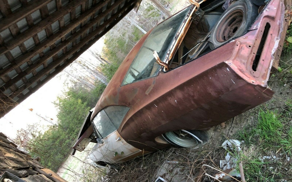 Impala Trunk Barn Finds