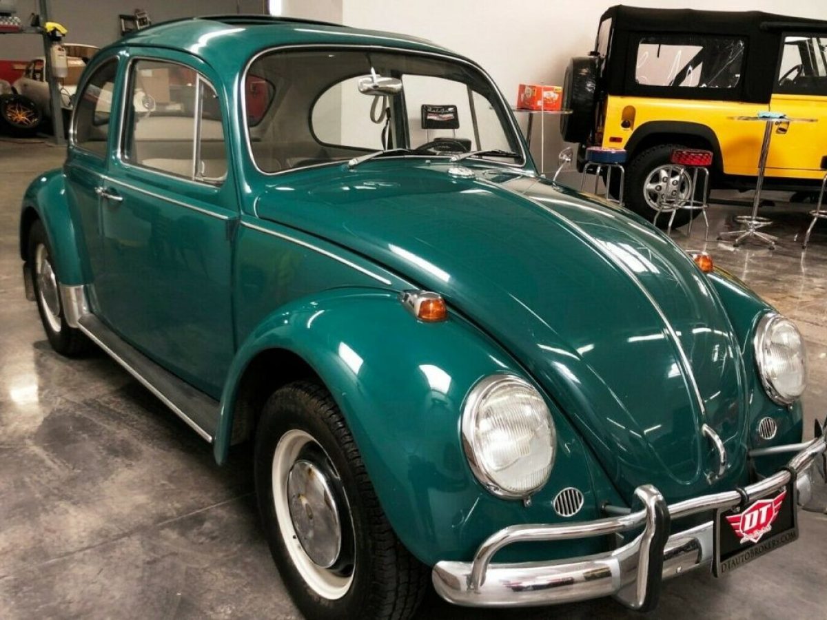 beetle-front-e1563419810286-
