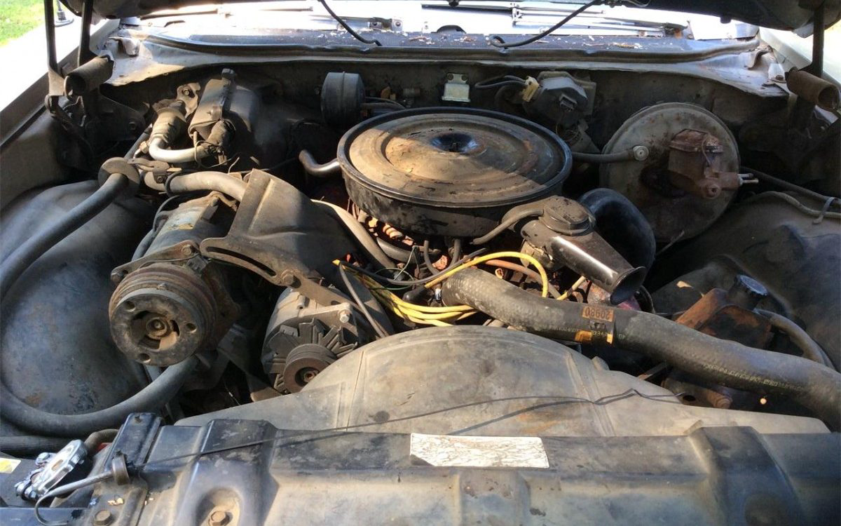 1969 Skylark engine | Barn Finds