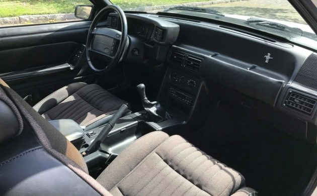 V8 5 Speed 1993 Ford Mustang Lx