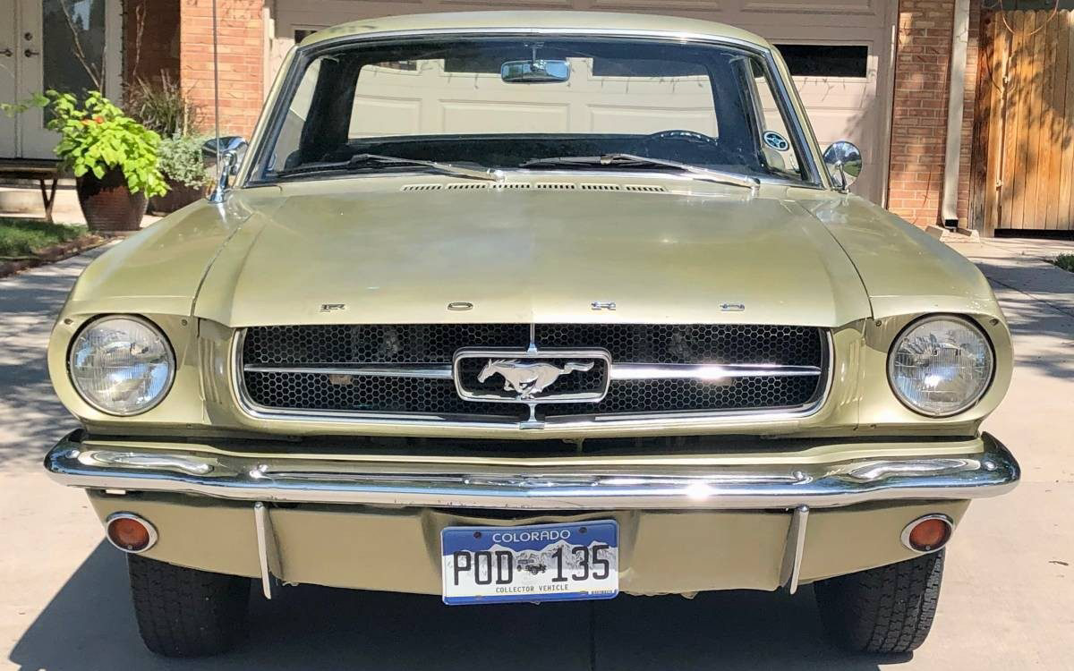 1964 Mustang Hood