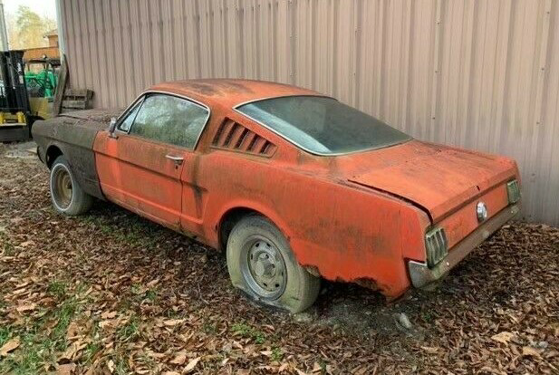 Behind The Barn: 1965 Ford Mustang Fastback | Barn Finds