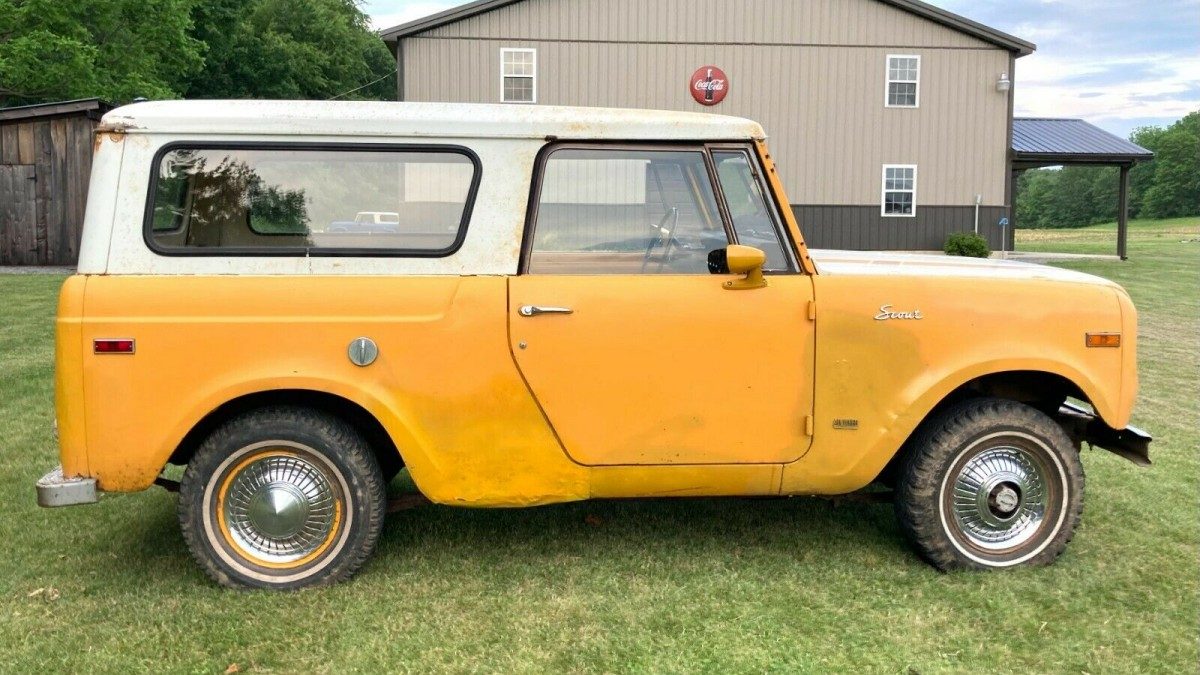 単品14個セット あわあわカメラ イルカ 富士 代引不可 ヨドバシ.com - 富士 あわあわカメラ イルカ 通販全品無料配達