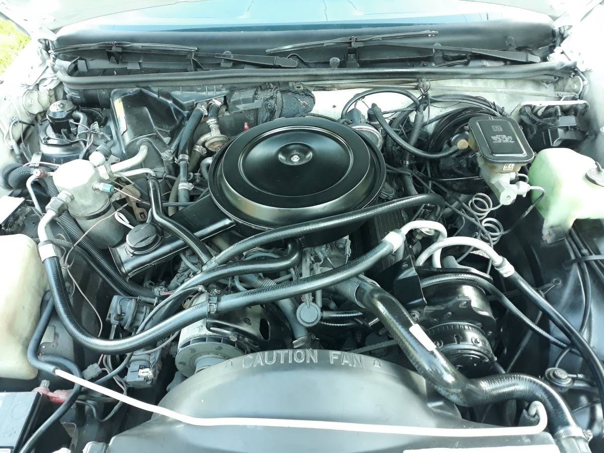 el camino engine Barn Finds