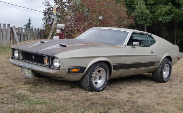Parked in 1981: 1973 Ford Mustang Mach 1 | Barn Finds