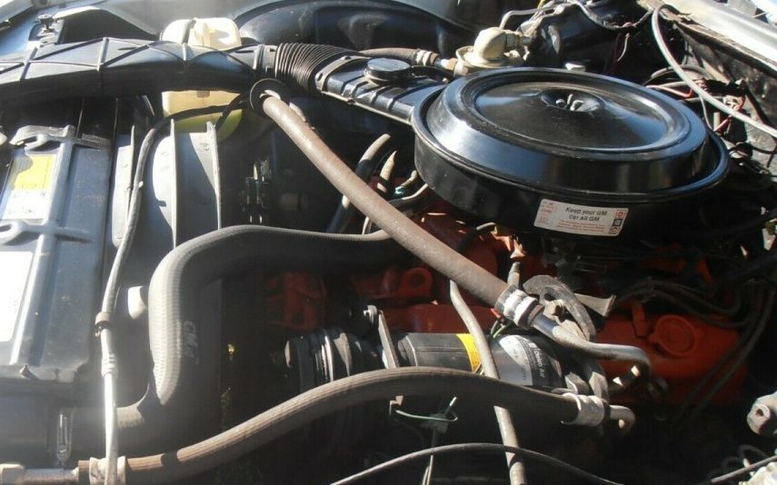 1976 Caprice engine Barn Finds