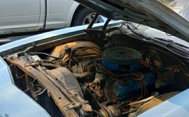 351 V8 Survivor: 1972 Ford Gran Torino