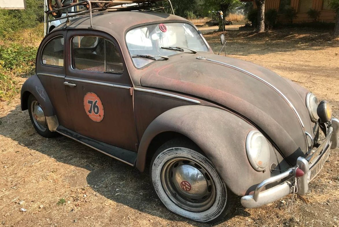 Vw Collection Beetle | Barn Finds