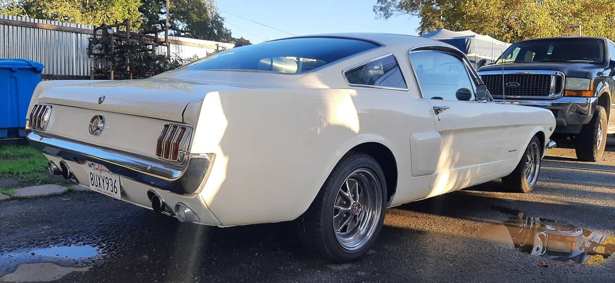 1965 Ford Mustang Fastback 2 | Barn Finds