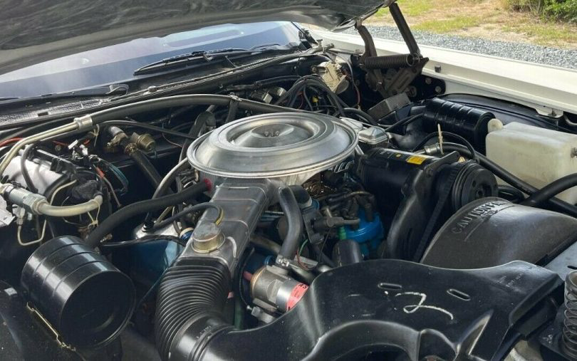 1979 Lincoln Engine 