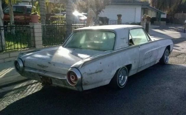 1963 Ford Thunderbird - Bullet bird Photographic Print for Sale by mal-photography