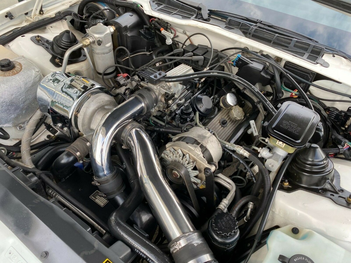 1989 Pontiac Trans Am 4 | Barn Finds