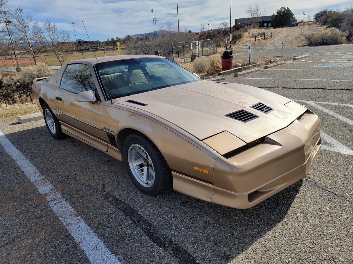 Pontiac Trans Am Barn Finds