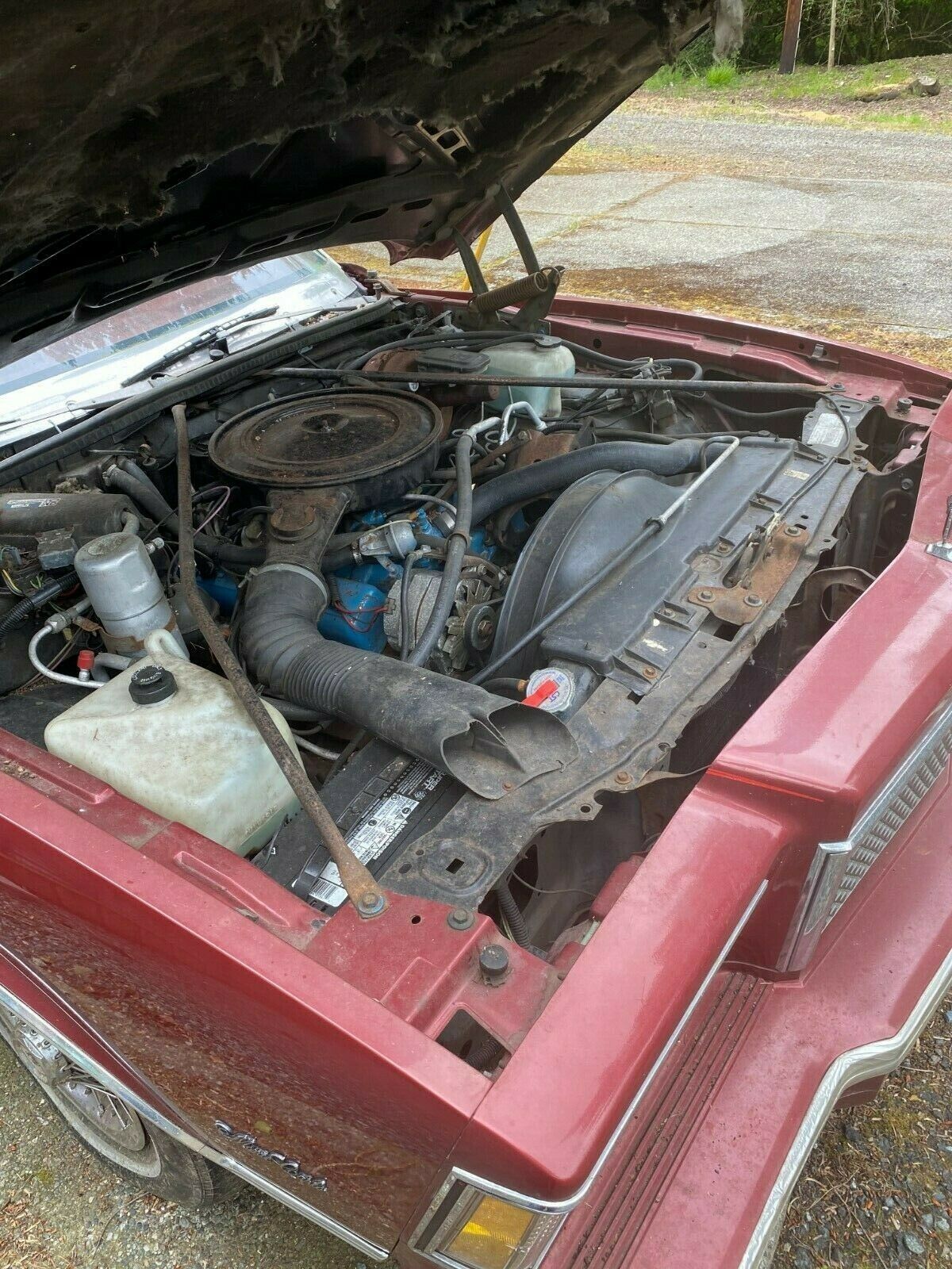 1978 Monte Carlo Engine Barn Finds