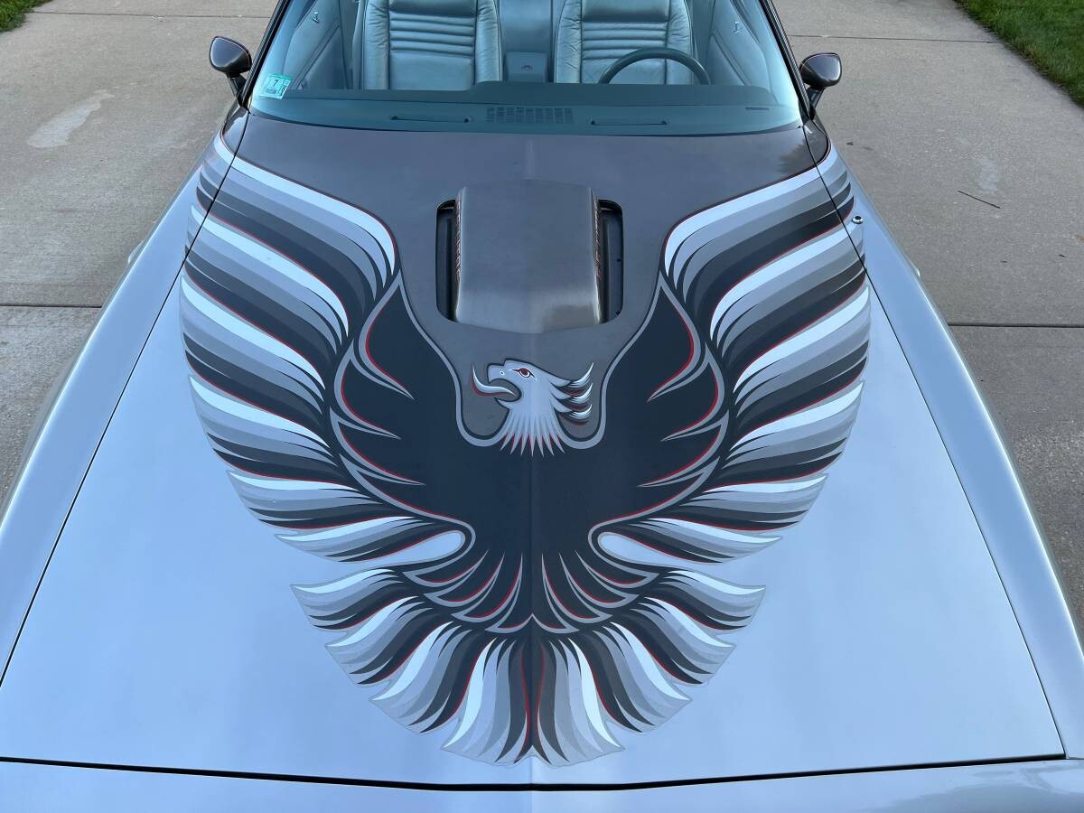 Super Bird on Firebird’s Hood | Barn Finds