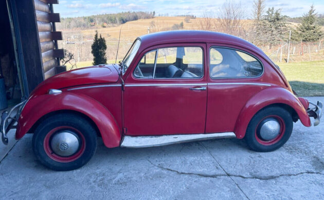 BF Auction: 1965 Volkswagen Beetle