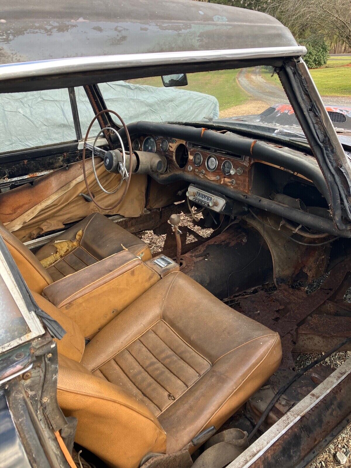 tiger interior Barn Finds