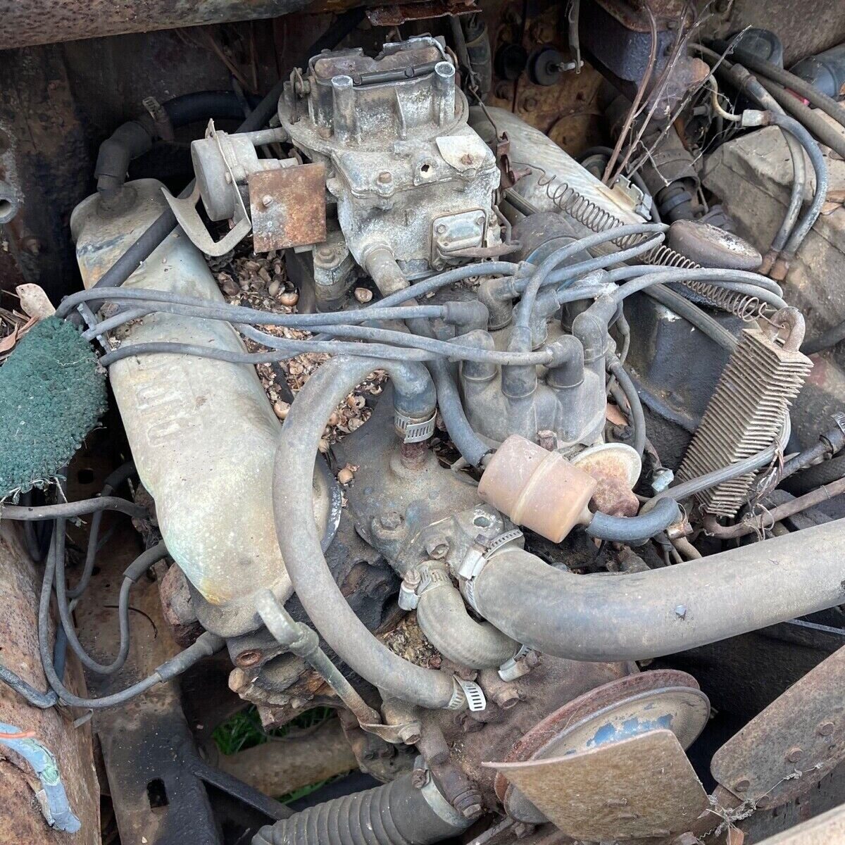 Ford Bronco Barn Finds