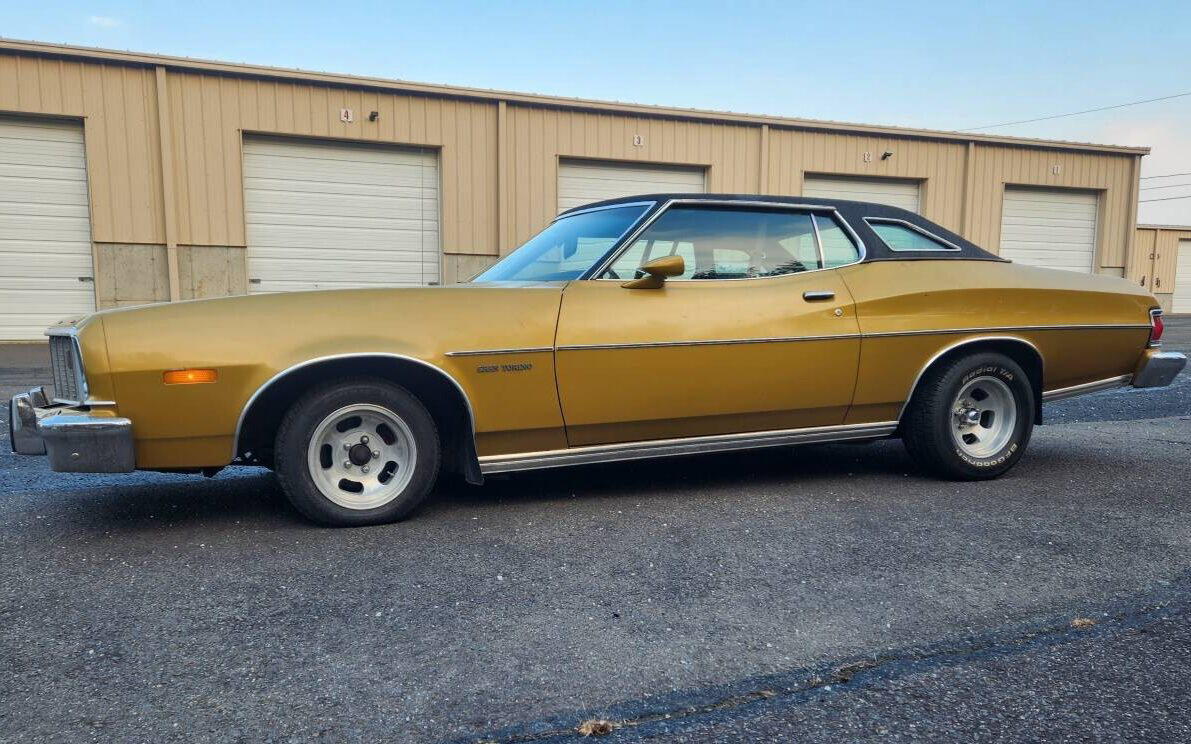 Torino Left Side Barn Finds