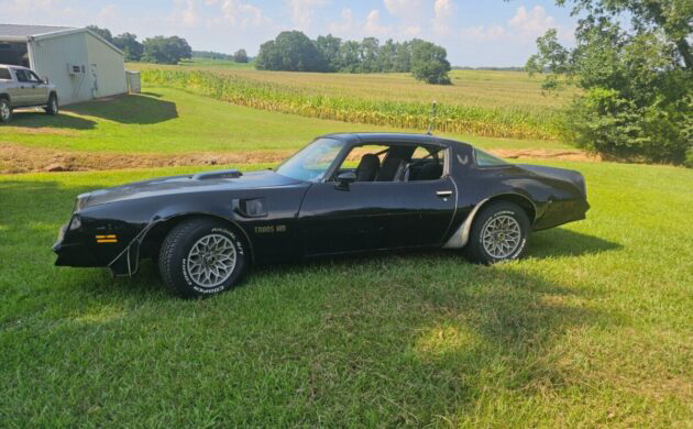 Y82 Special Edition: 1978 Pontiac Trans Am | Barn Finds