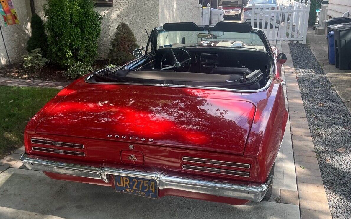 1967 Firebird rear | Barn Finds