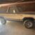 1980 Plymouth Trail Duster Sport
