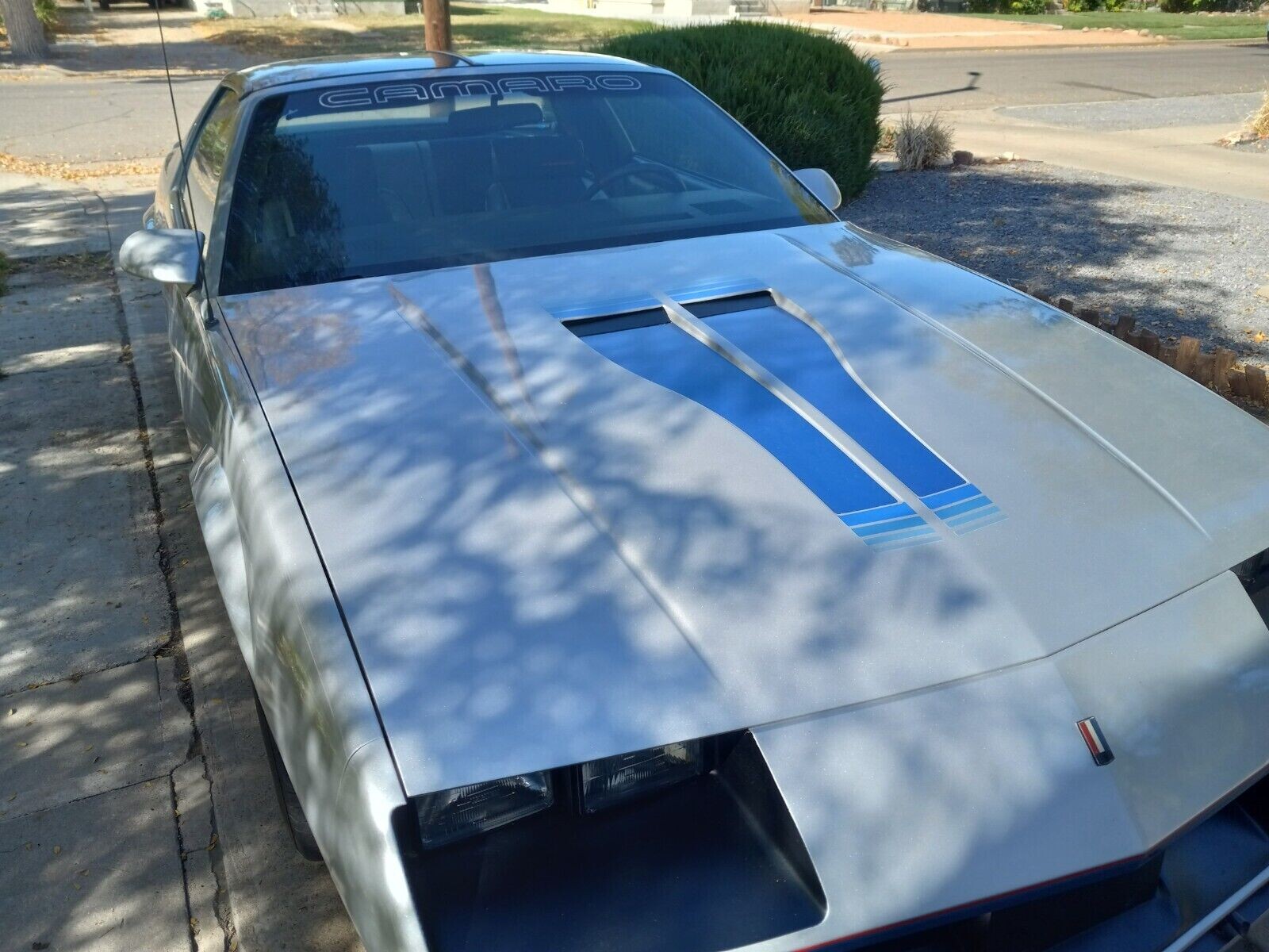 1982 Chevrolet Camaro Pace Car 5 | Barn Finds