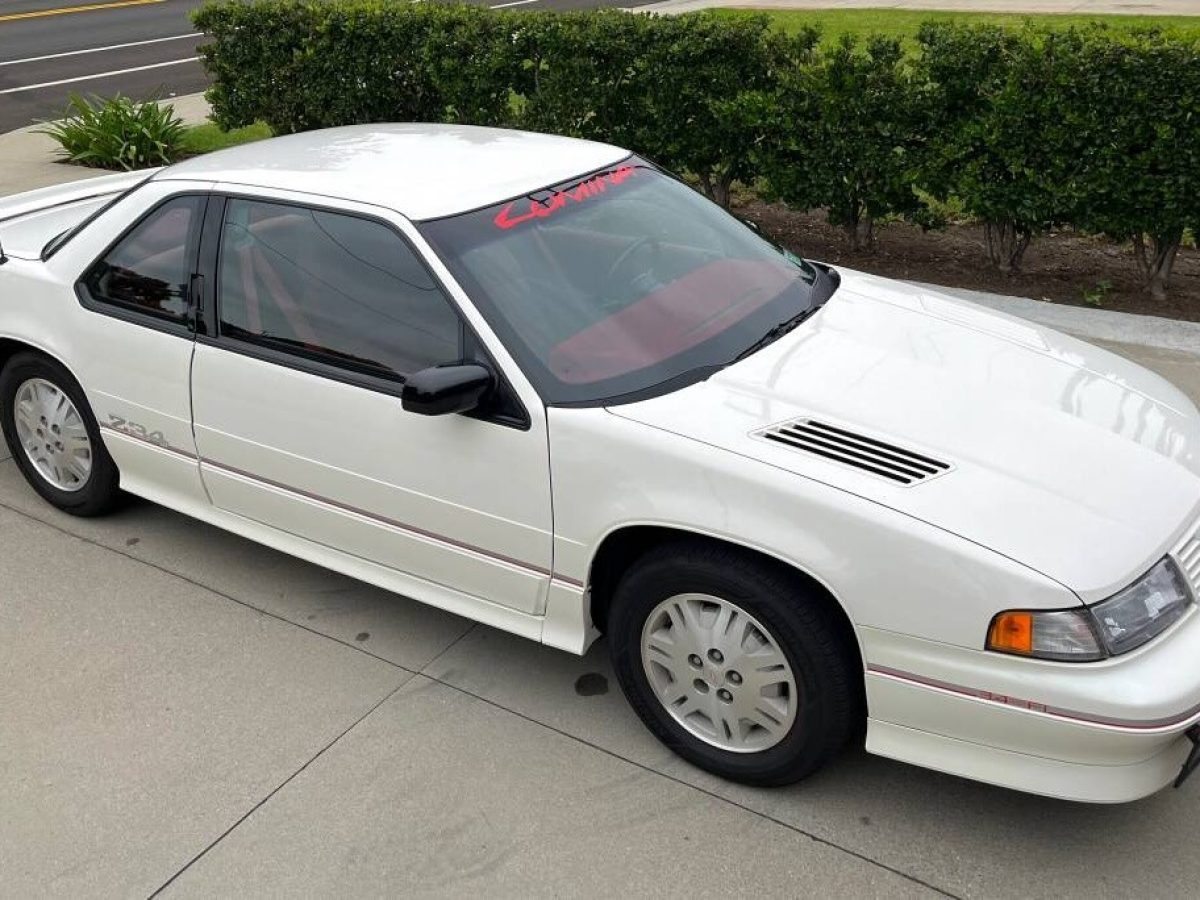 Euro What? 1992 Chevrolet Lumina Euro - DailyTurismo, image size:1200x900