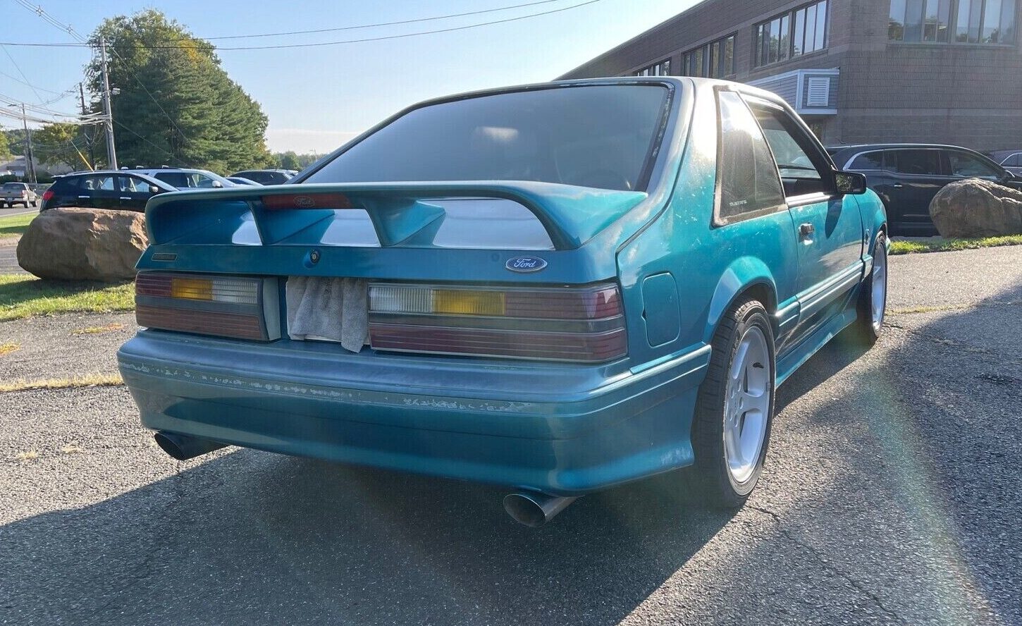 Mustang Cobra Rear Barn Finds