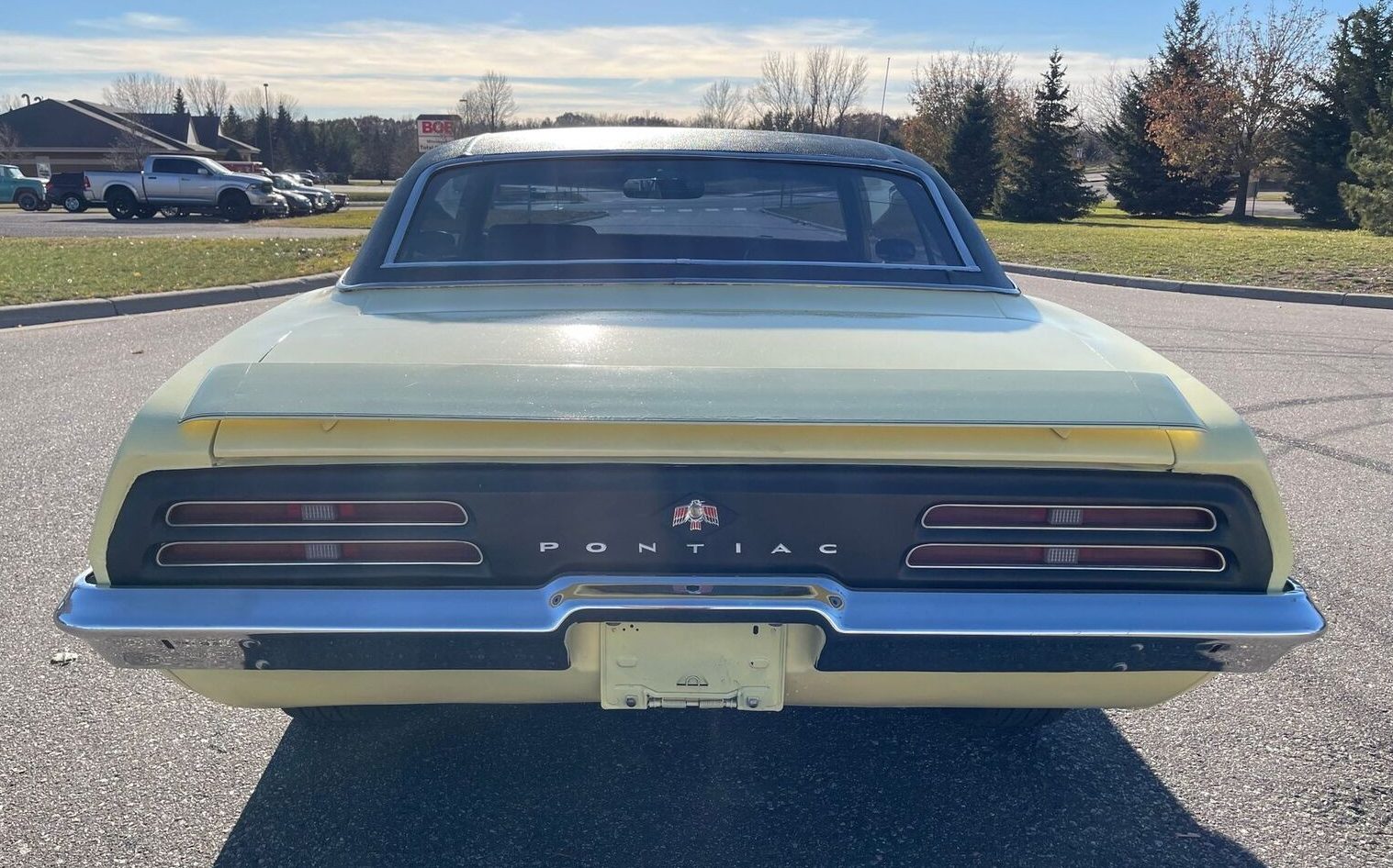 1969 Firebird rear | Barn Finds