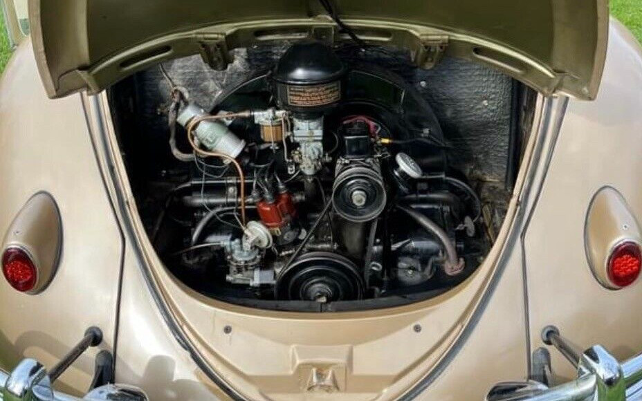 1958 VW Beetle Deluxe Engine Compartment | Barn Finds