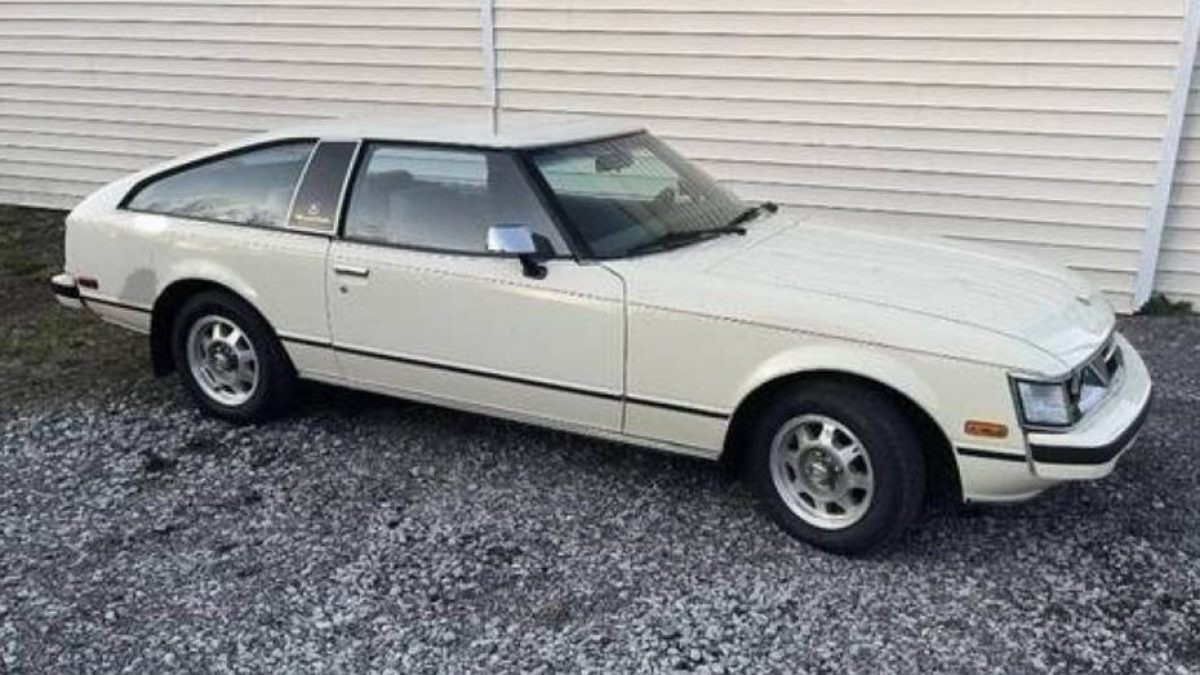 アプソルフィラー　60g celicaprofile-e1734414958702-