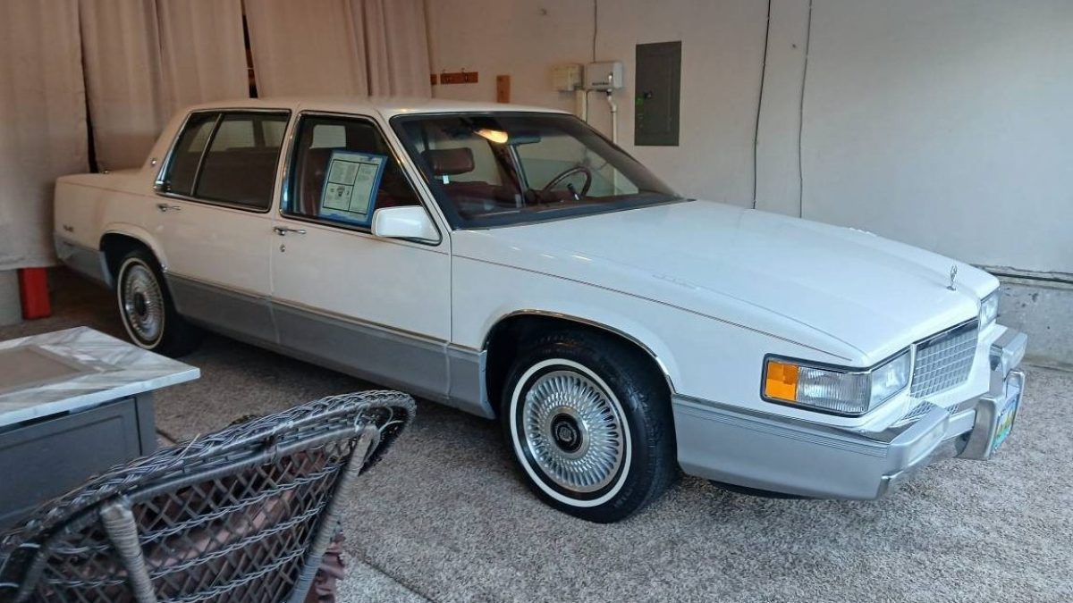 中古 90年代Ｖ系 Cellaid \