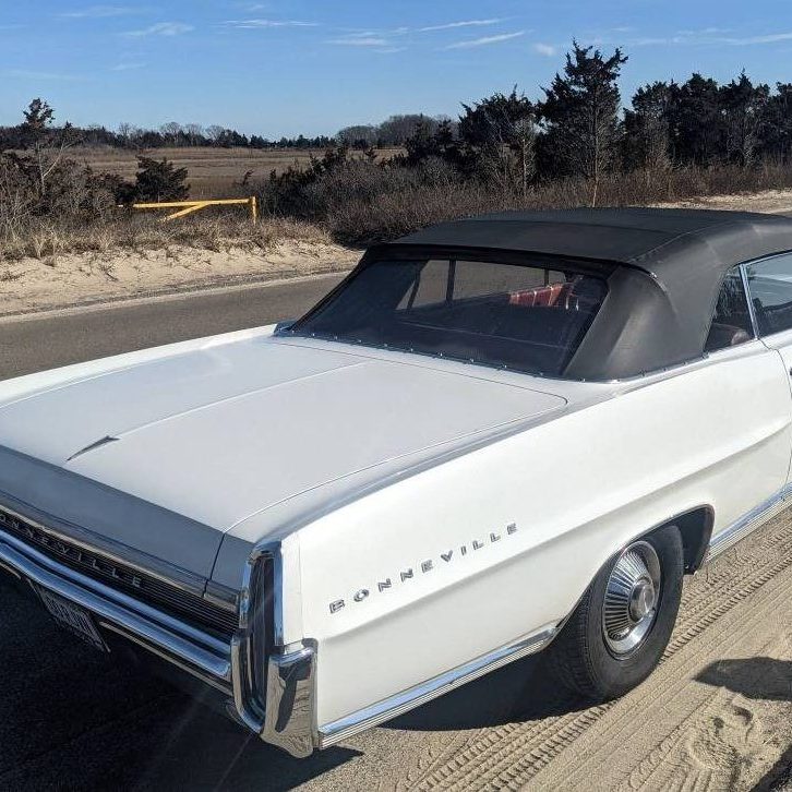 image-5-e1740844658443-726x726