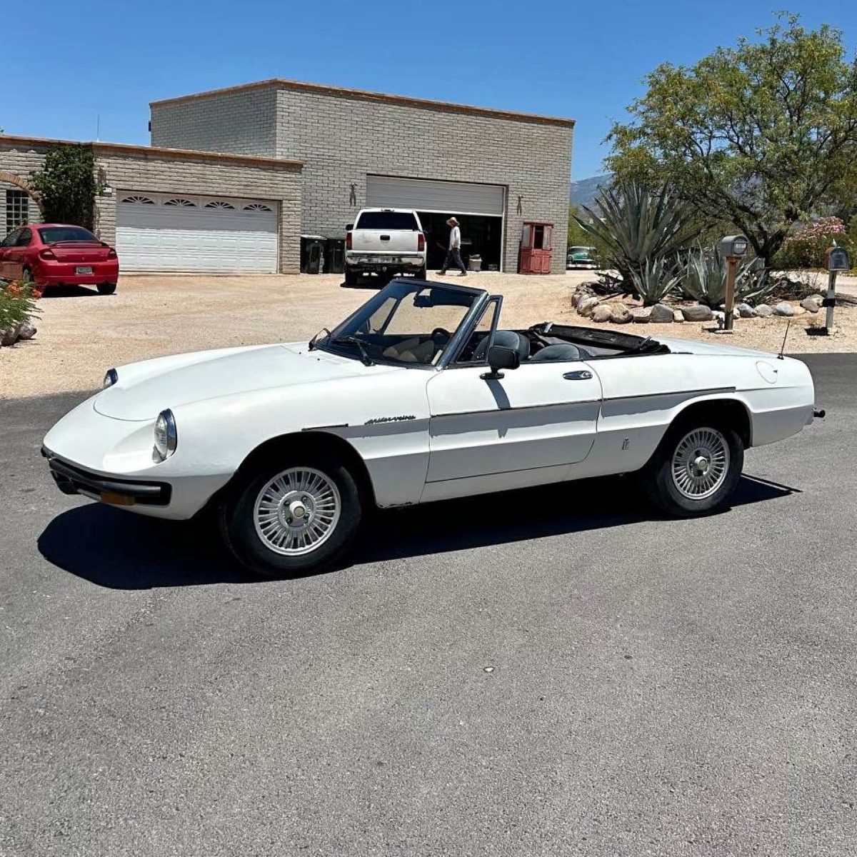 Low Miles? 1980 Alfa Romeo Spider Veloce | Barn Finds