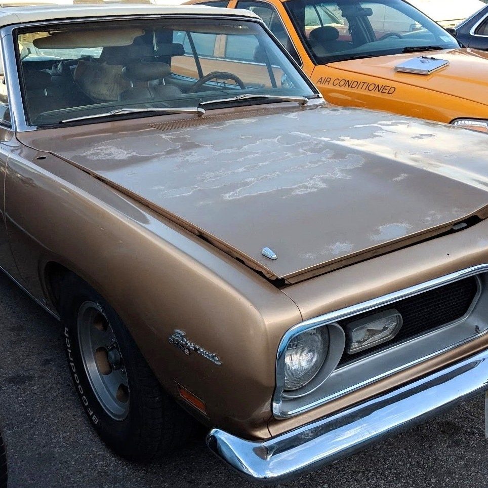 muuuuページ CM 6310 WH | Miele Coffee Maker with Grinder, White - Make