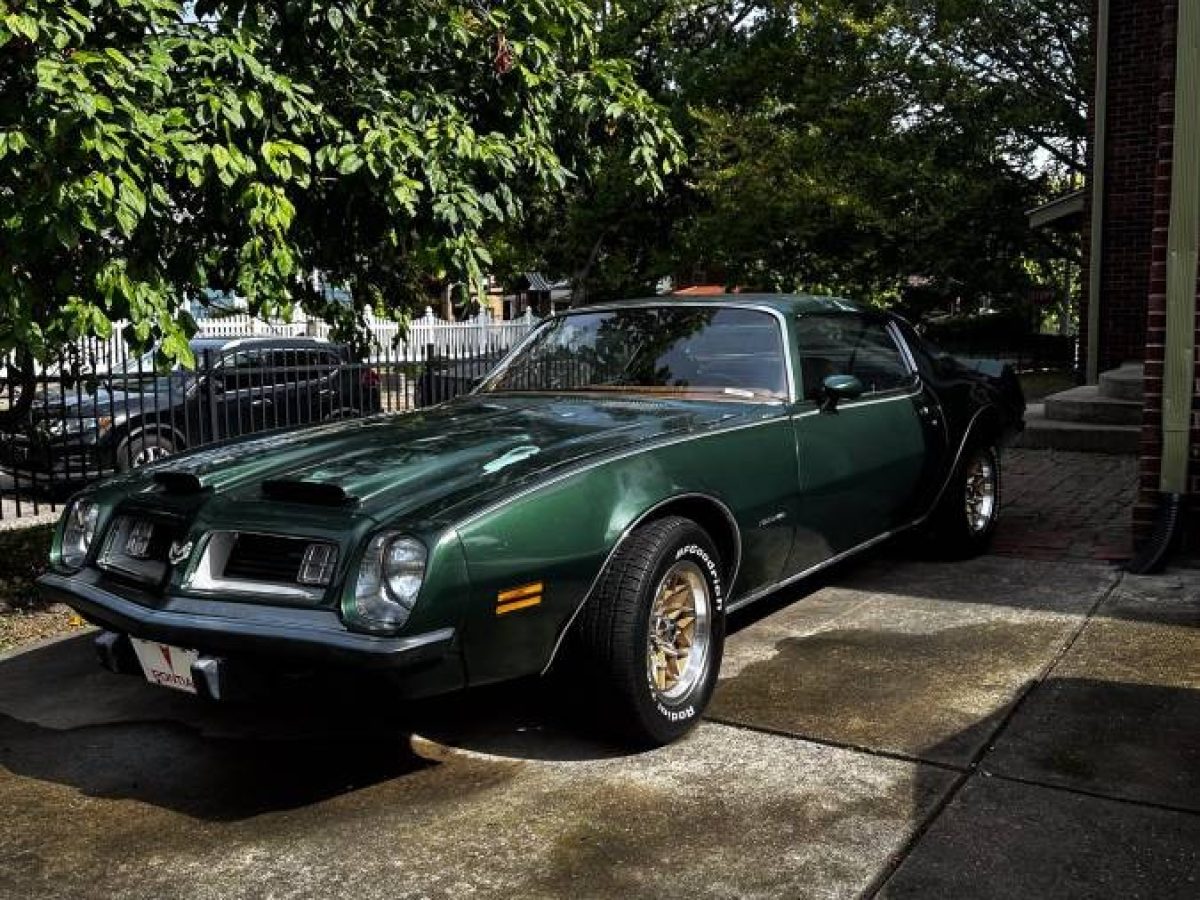 ポルトガル製 ヴィンテージ風 昭和レトロ フェアアイル ベスト y2k カーキ緑 Code 49 Alpine Green: 1975 Pontiac Firebird Formula 400 | Barn Finds