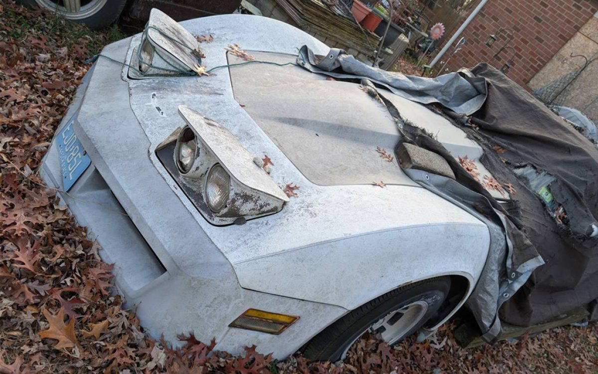 Moving and Must Sell: 1980 Chevrolet Corvette | Barn Finds