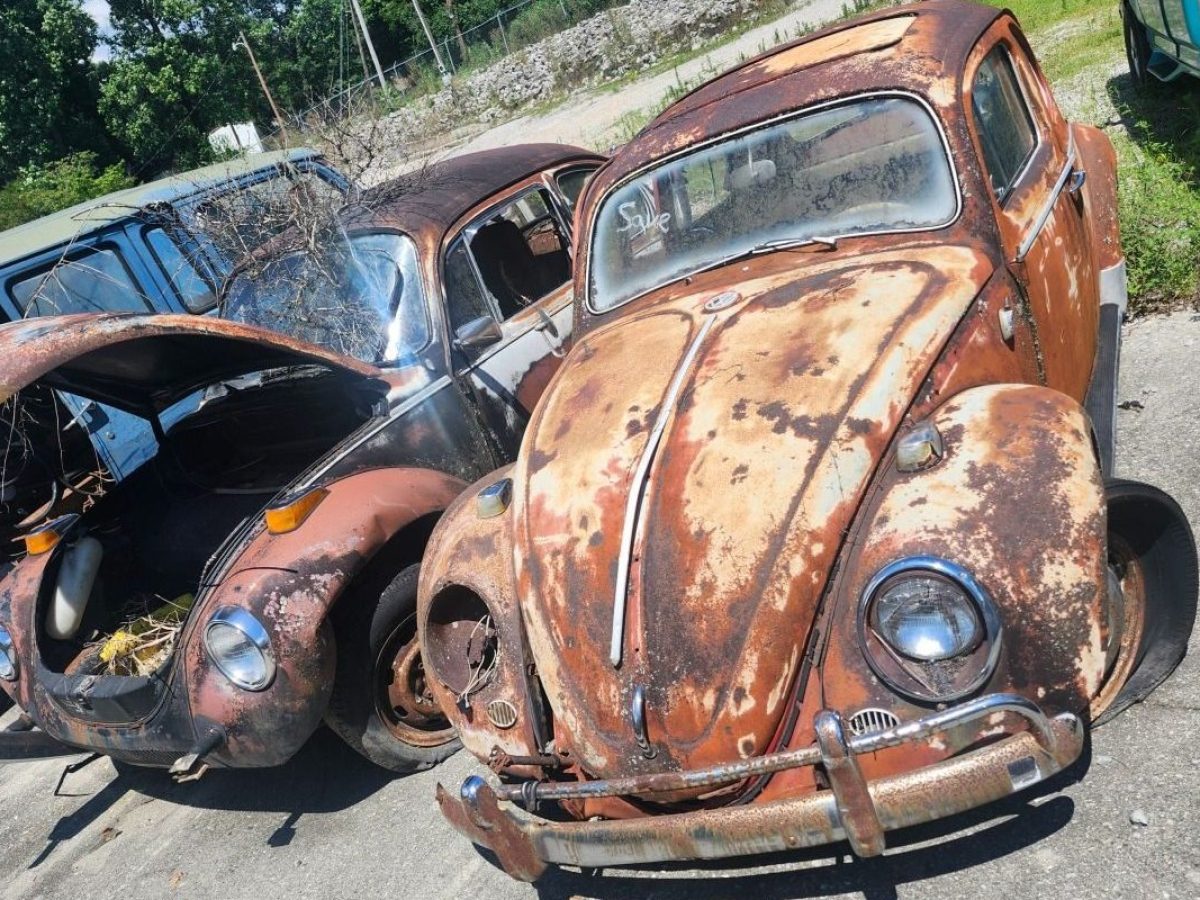 BF Exclusive: Volkswagen Beetles For Sale | Barn Finds