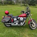 1995 Harley-Davidson Dyna Glide Convertible