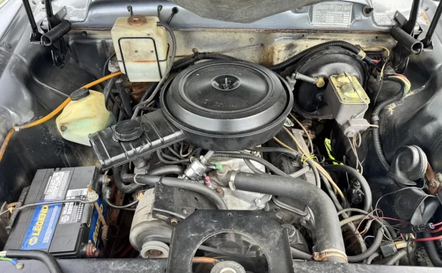 1978 Checker Marathon engine